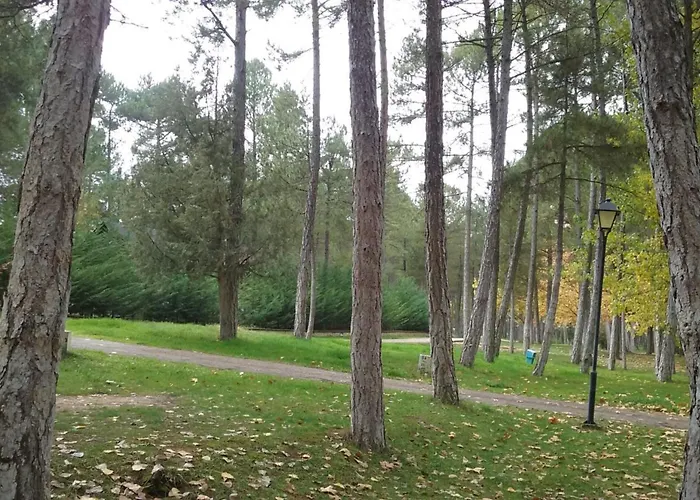 Hotel que admite mascotas: Camping Caravaning Cuenca